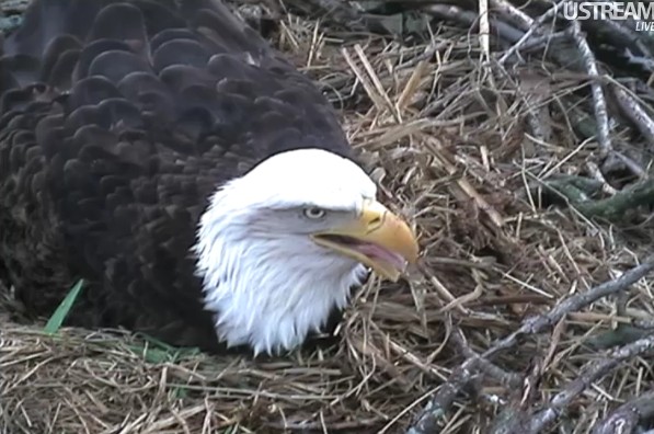 ScreenHunter_01 Mar. 22 16.57.jpg